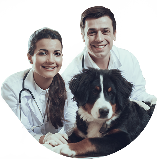 Curso Técnico de Auxiliar Veterinário